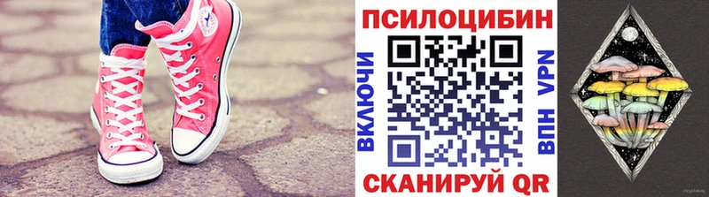 Псилоцибиновые грибы мицелий  Пущино 